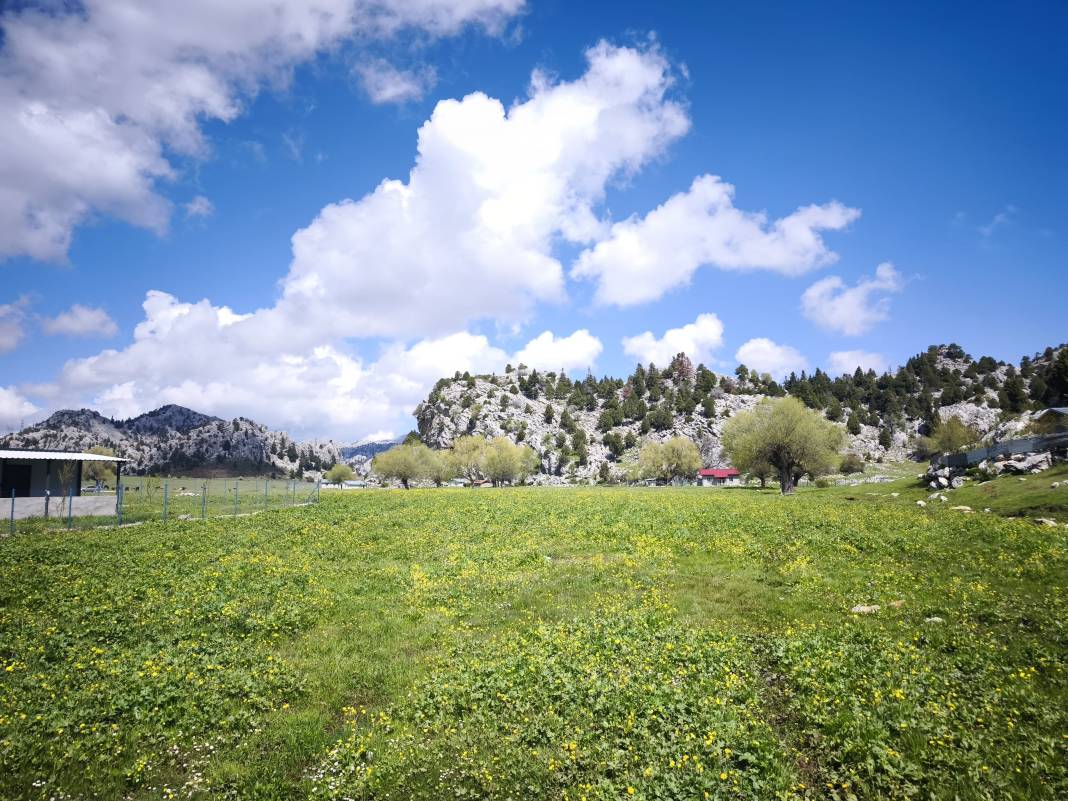 Konya’nın ünlü yaylasında baharın renkli yüzü çıktı 17